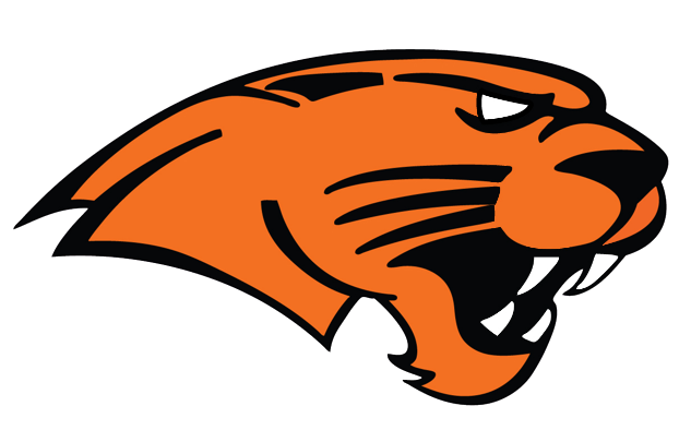 Orange-Panther-No-Background-removebg-preview